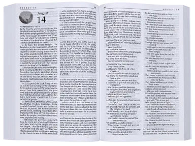 THE MESSAGE MSG ONE YEAR BIBLE LARGE PRINT THINLINE EDITION