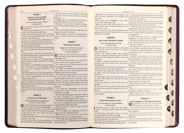 B KJV LARGE PRINT THINLINE BIBLE PURPLE FLORAL THUMB INDEX (RED LETTER EDITION)