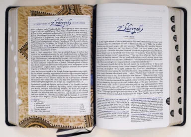 B COMPLETE JEWISH STUDY BIBLE  THE INDEXED BLUE FLEXISOFT WITH GOLD LETTERING