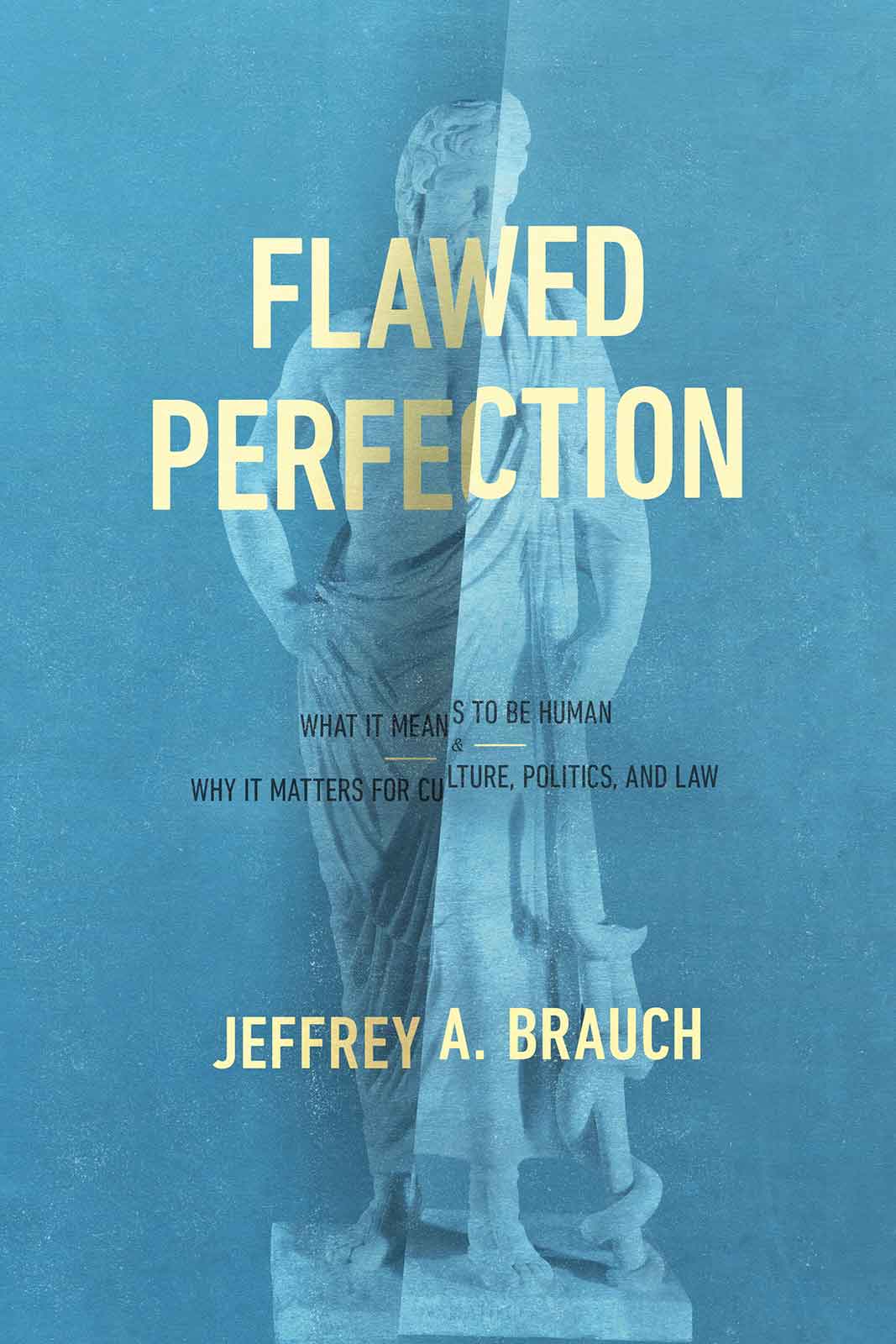 FLAWED PERFECTION: WHAT IT MEANS TO BE HUMAN AND WHY IT MATTERS FOR CULTURE  POLITICS  AND LAW
