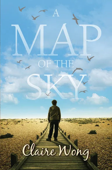 MAP OF THE SKY  A