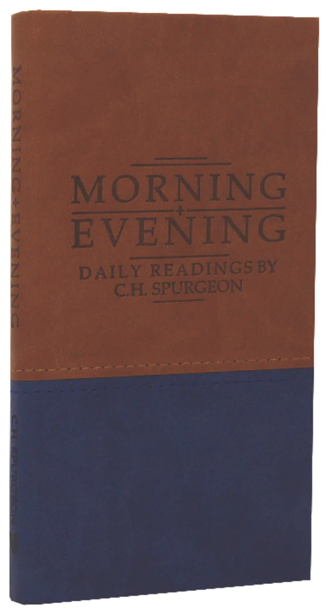 MORNING & EVENING (TAN/BLUE DUO TONES)