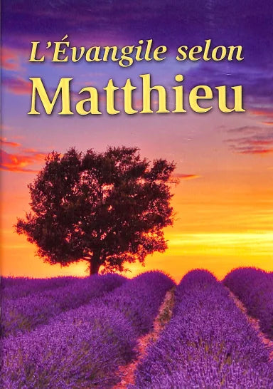 B FRENCH GOSPEL ACCORDING TO MATTHEW (BLACK LETTER EDITION)