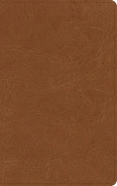 B NASB SINGLE-COLUMN PERSONAL SIZE BIBLE  TAN GENUINE LEATHER (BLACK LETTER EDITION)