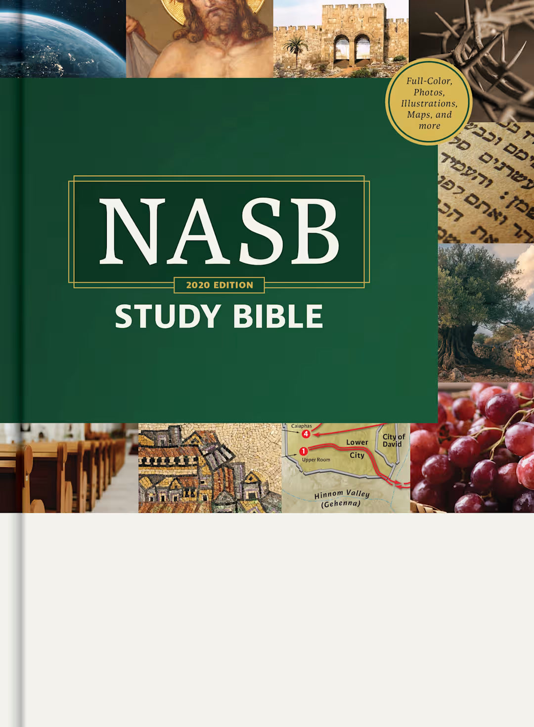 B NASB STUDY BIBLE (BLACK LETTER EDITION)