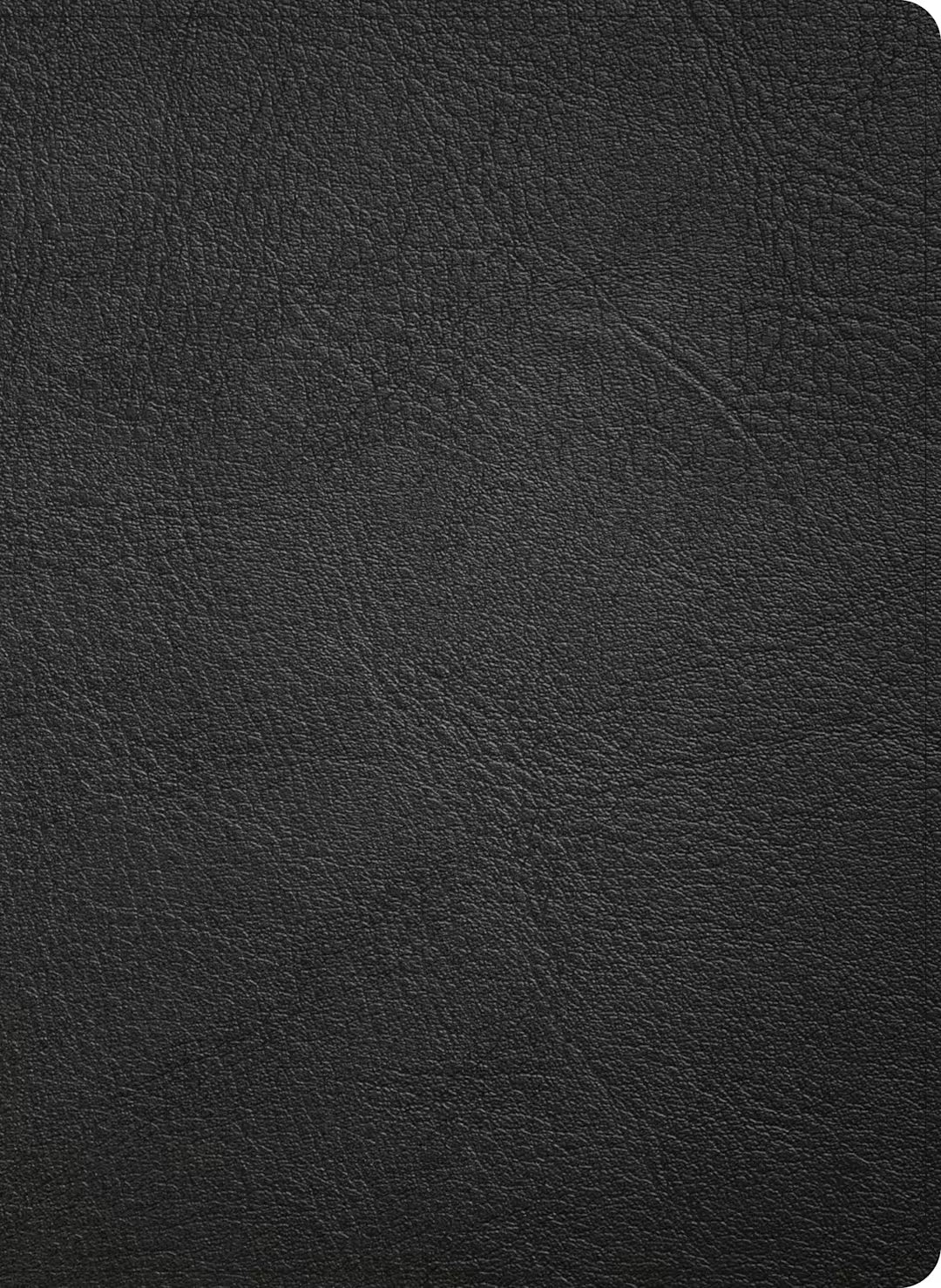 B NASB STUDY BIBLE  BLACK (BLACK LETTER EDITION)