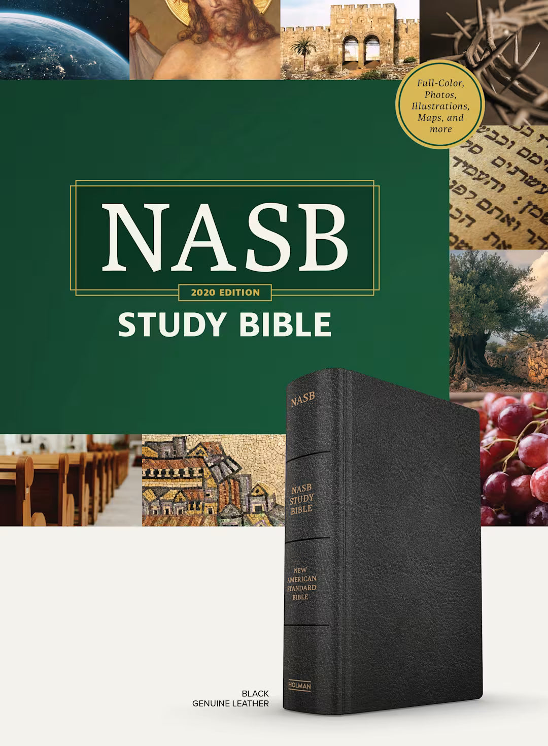 B NASB STUDY BIBLE  BLACK (BLACK LETTER EDITION)