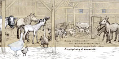 MORNING IN THE BARNYARD (BARNYARD BLESSINGS SERIES)