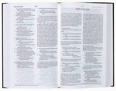 ESV CHURCH BIBLE BURGUNDY (BLACK LETTER EDITION)