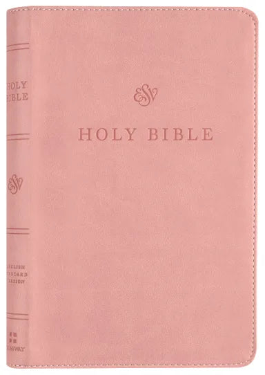 B ESV PREMIUM CHURCH BIBLE  BLUSH ROSE