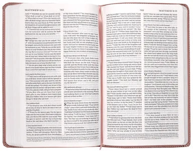 B ESV PREMIUM CHURCH BIBLE  BLUSH ROSE