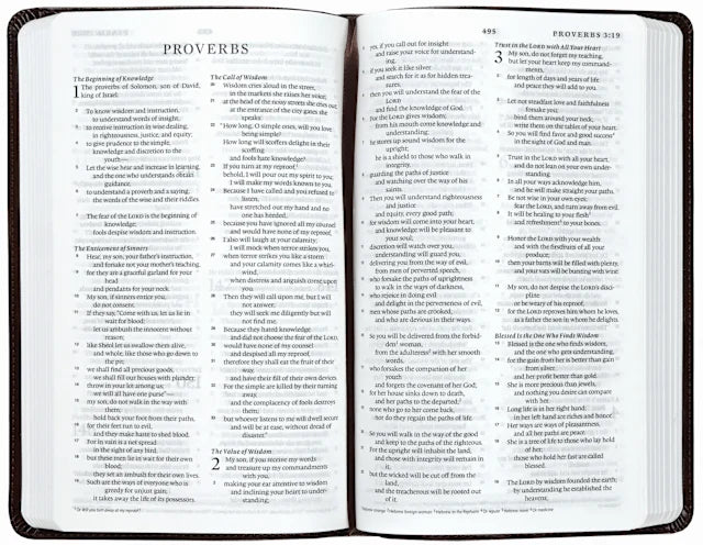 B ESV PREMIUM CHURCH BIBLE  BROWN