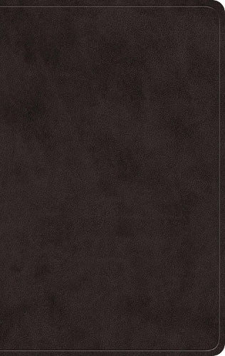 B ESV GIANT PRINT VALUE PERSONAL SIZE BIBLE BLACK (RED LETTER EDITION)
