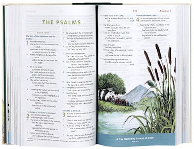 ESV CHILDREN'S BIBLE: LET THE CHILDREN COME