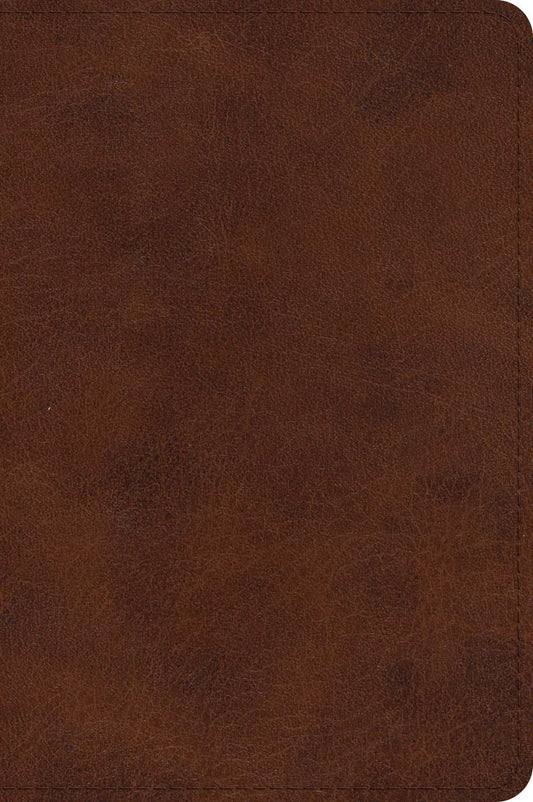 B ESV LARGE PRINT BIBLE BROWN (BLACK LETTER EDITION)