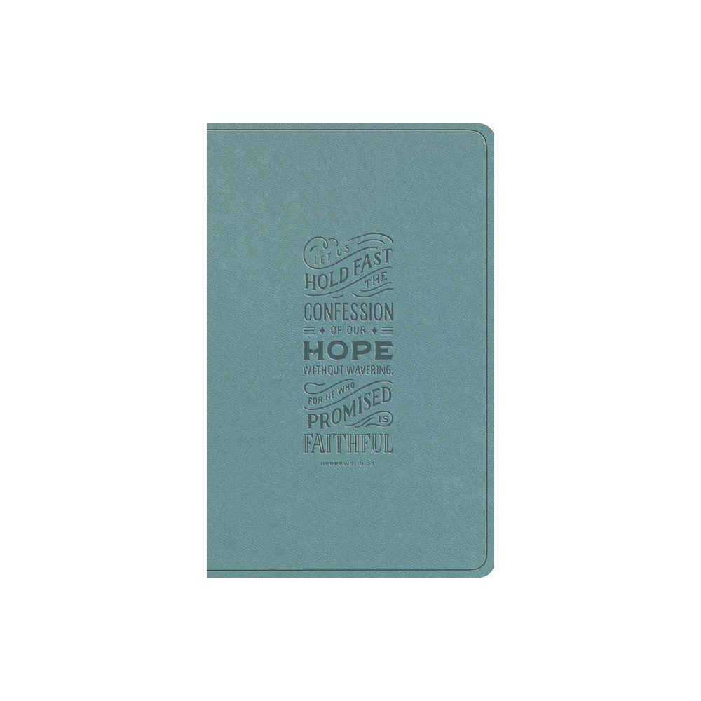 ESV LARGE PRINT VALUE THINLINE BIBLE PARIS SKY  HEBREWS 10:23 DESIGN