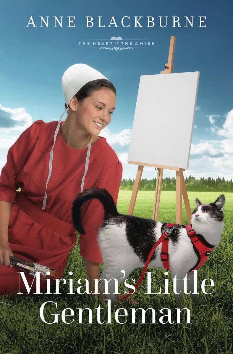 MIRIAMS LITTLE GENTLEMAN (#14 IN HEART OF THE AMISH SERIES)