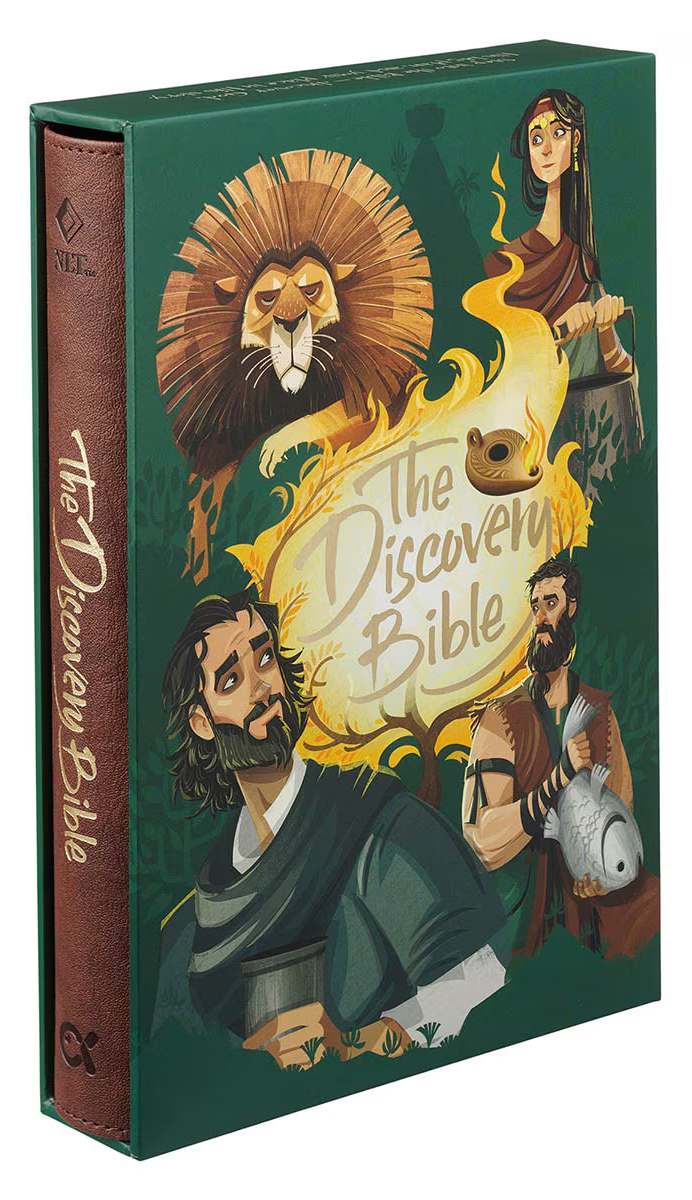 B NLT DISCOVERY BIBLE BROWN