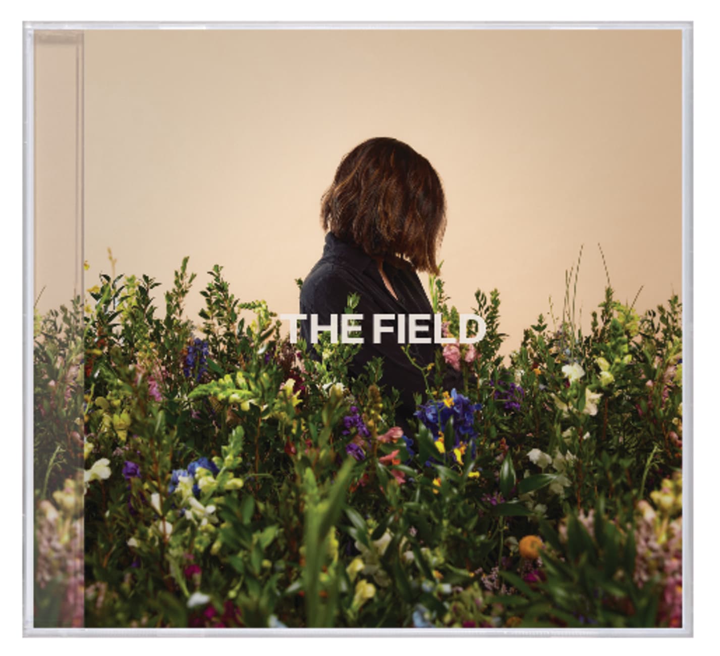 FIELD  THE