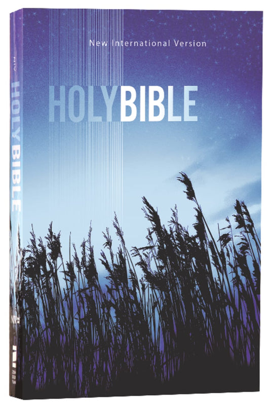 B NIV VALUE OUTREACH BIBLE BLUE WHEAT (BLACK LETTER EDITION)