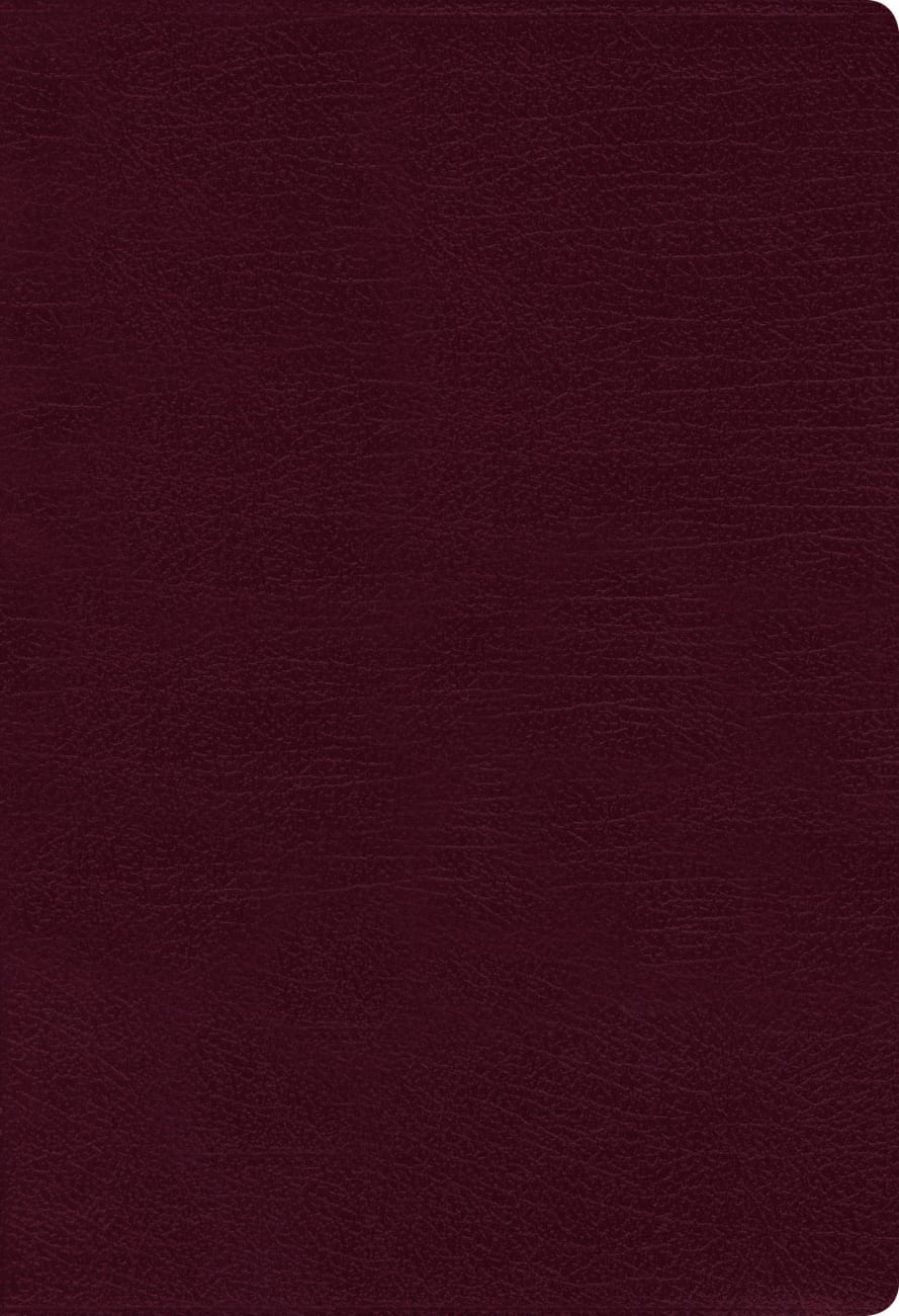 B NIV THINLINE BIBLE BURGUNDY (RED LETTER EDITION)