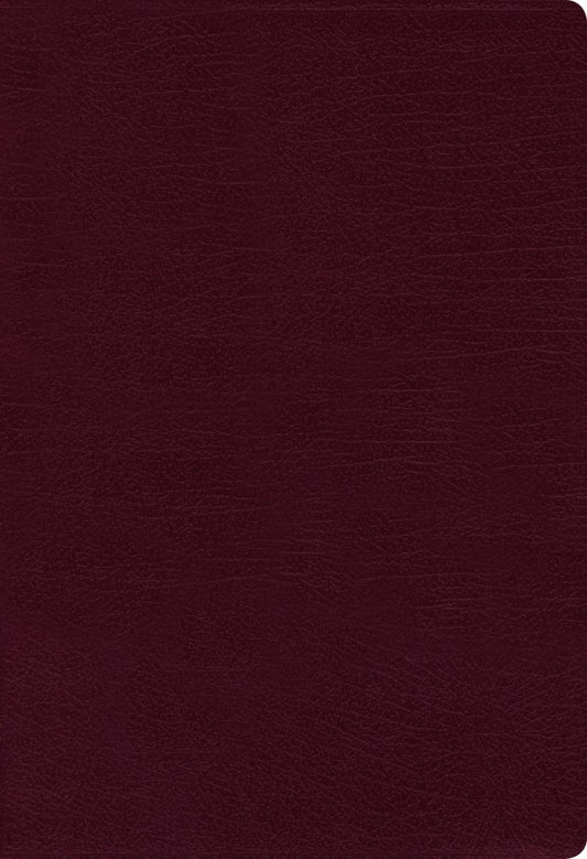 B NIV THINLINE BIBLE BURGUNDY (RED LETTER EDITION)