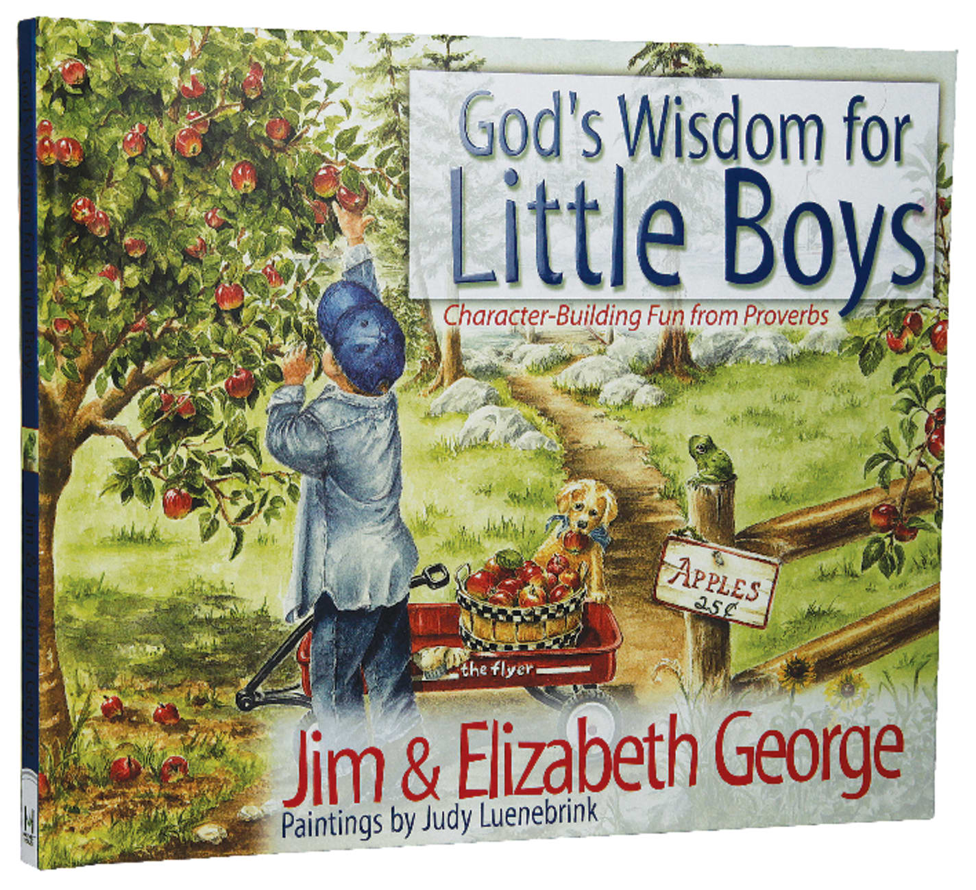 GOD'S WISDOM FOR LITTLE BOYS