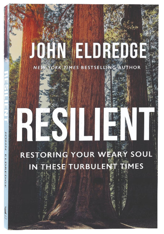 RESILIENT: RESTORING YOUR WEARY SOUL IN THESE TURBULENT TIMES