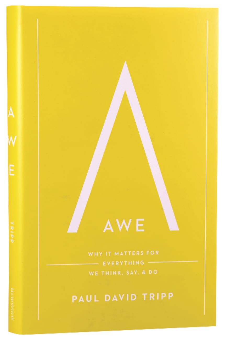 AWE: WHY IT MATTERS FOR EVERYTHING WE THINK SAY AND DO