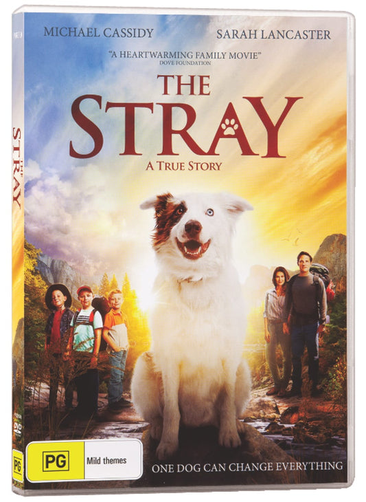 DVD STRAY  THE